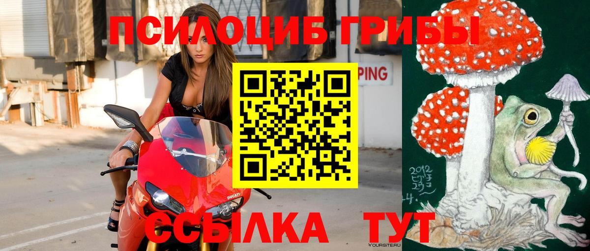 Уварово  Псилоцибиновые грибы Psilocybine cubensis  Вход с VPN 